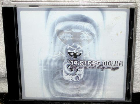 14 STEPS DOWN "Something You Can't Hide" CD